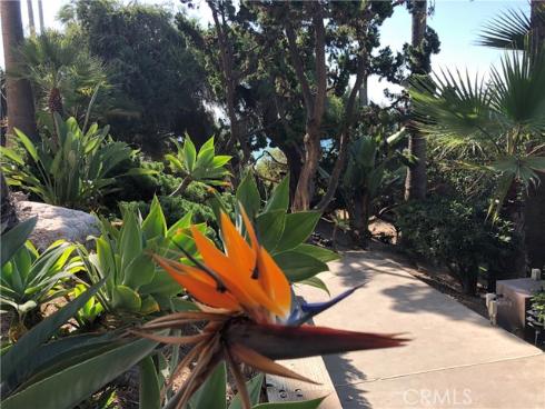 31423  Coast  12  Highway, Laguna Beach, CA