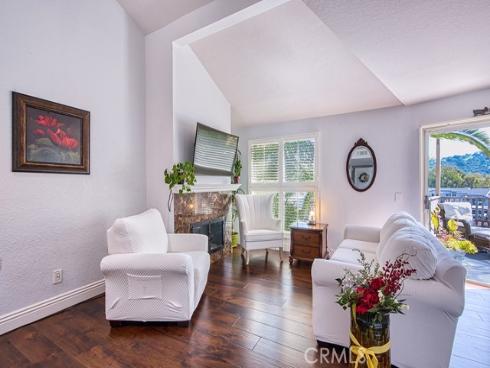 513  San Nicholas   Court, Laguna Beach, CA