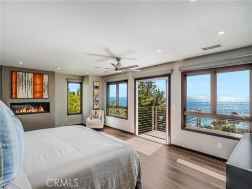 31321  Ceanothus  , Laguna Beach, CA