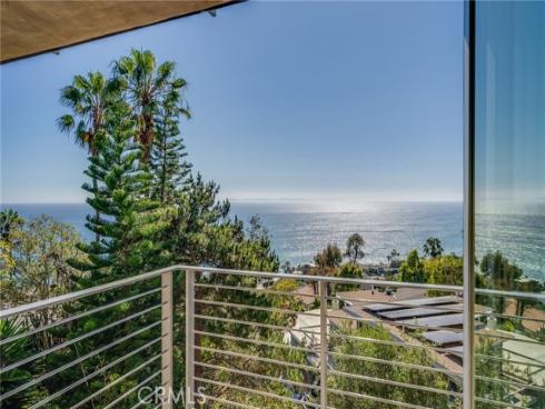 31321  Ceanothus  , Laguna Beach, CA