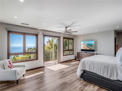 31321  Ceanothus  , Laguna Beach, CA