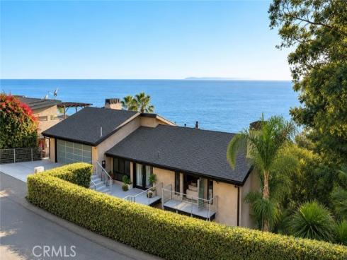 31321  Ceanothus  , Laguna Beach, CA