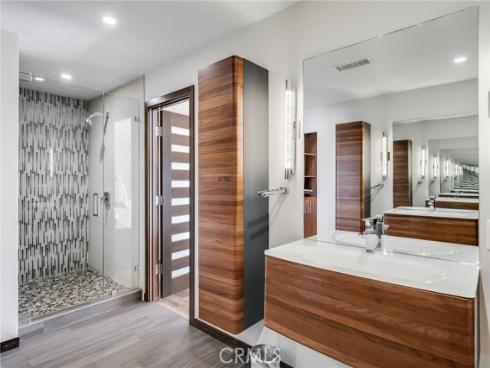31321  Ceanothus  , Laguna Beach, CA