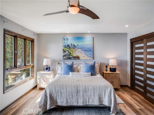 31321  Ceanothus  , Laguna Beach, CA