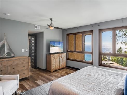 31321  Ceanothus  , Laguna Beach, CA
