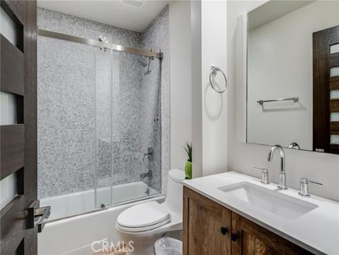 31321  Ceanothus  , Laguna Beach, CA