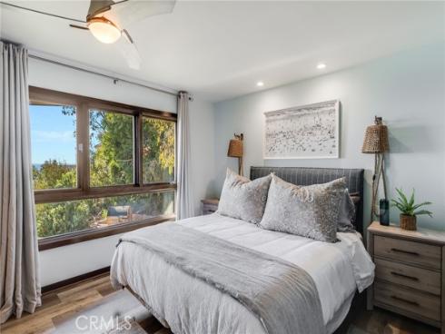 31321  Ceanothus  , Laguna Beach, CA