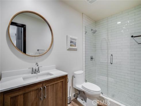 31321  Ceanothus  , Laguna Beach, CA