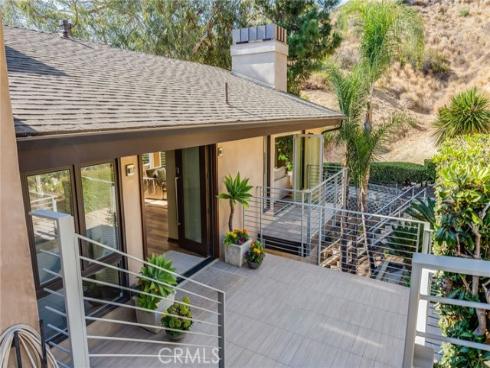 31321  Ceanothus  , Laguna Beach, CA