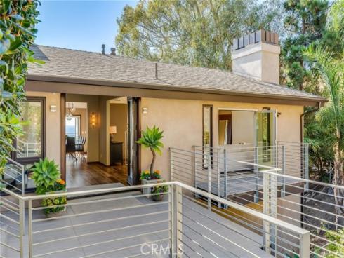 31321  Ceanothus  , Laguna Beach, CA