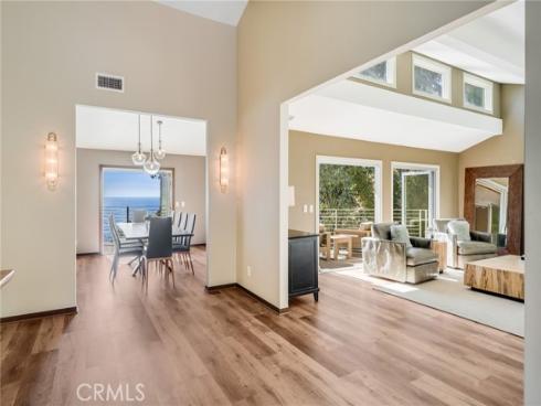 31321  Ceanothus  , Laguna Beach, CA