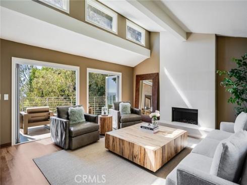 31321  Ceanothus  , Laguna Beach, CA