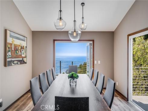 31321  Ceanothus  , Laguna Beach, CA
