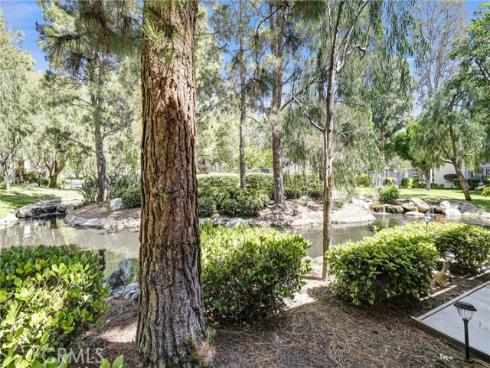 26701 Quail 147 Creek, Laguna Hills, CA