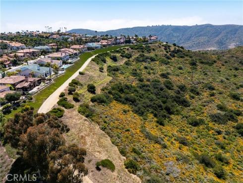 29412  Christiana   Way, Laguna Niguel, CA