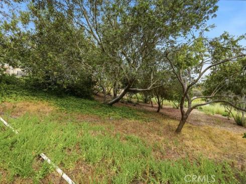 29352  Clipper   Way, Laguna Niguel, CA