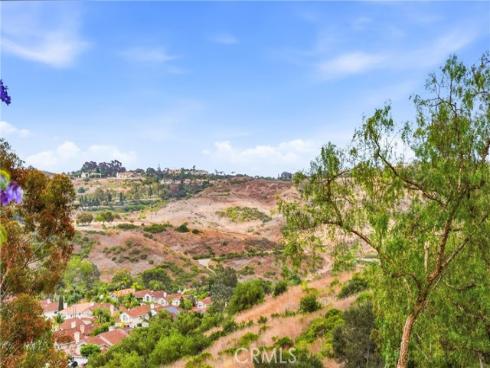 29  Fleurance   Street, Laguna Niguel, CA