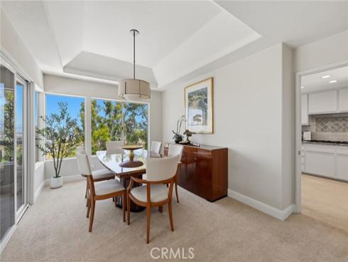10  Toulon  , Laguna Niguel, CA