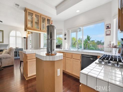 12  Siros  , Laguna Niguel, CA