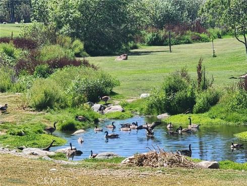 9 Via Laguna , Laguna Niguel, CA