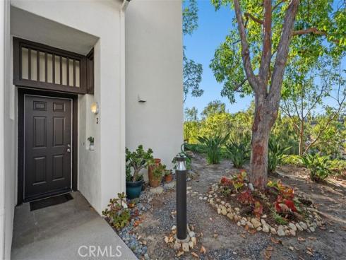 3  Silver Glade  229 , Laguna Niguel, CA