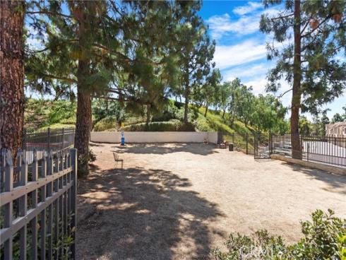 137  Pearl  , Laguna Niguel, CA