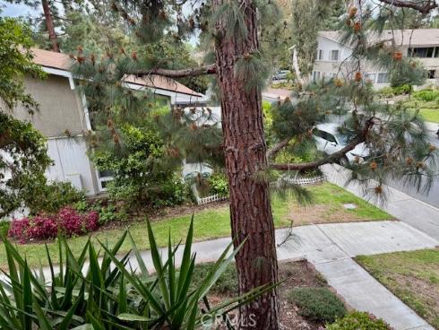 367  Avenida Castilla  N , Laguna Woods, CA