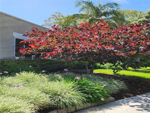 2006  Via Mariposa  B , Laguna Woods, CA