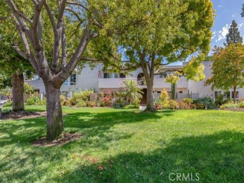 2257  Via Puerta  P , Laguna Woods, CA