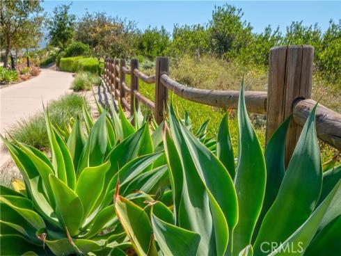 609 Shadowbrook , Lake Forest, CA