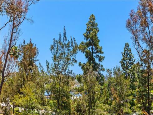 22122  Cosala  , Mission Viejo, CA