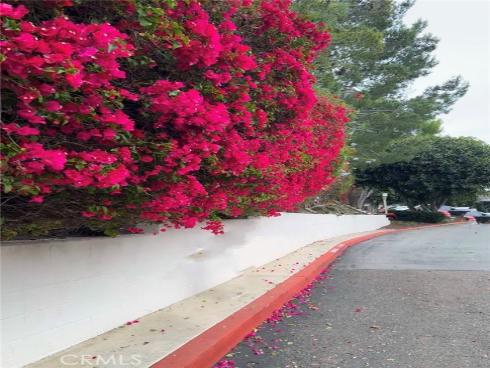 67  Sea Island   Drive, Newport Beach, CA