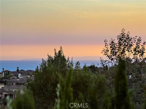 6  Canyon Peak  , Newport Coast, CA
