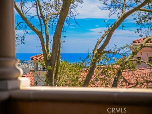 4 Clearview , Newport Coast, CA