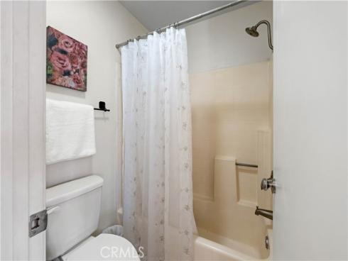 46  Dianthus  , Rancho Santa Margarita, CA
