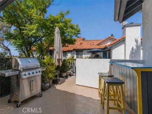 46  Dianthus  , Rancho Santa Margarita, CA