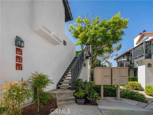 46  Dianthus  , Rancho Santa Margarita, CA