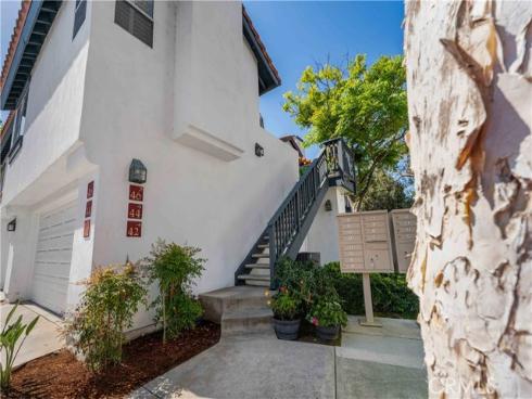 46  Dianthus  , Rancho Santa Margarita, CA