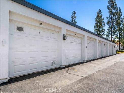 46  Dianthus  , Rancho Santa Margarita, CA