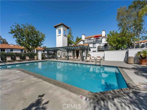 46  Dianthus  , Rancho Santa Margarita, CA