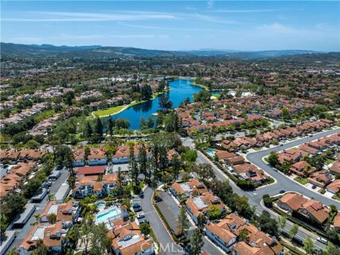 46  Dianthus  , Rancho Santa Margarita, CA