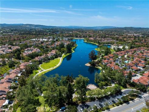 46  Dianthus  , Rancho Santa Margarita, CA