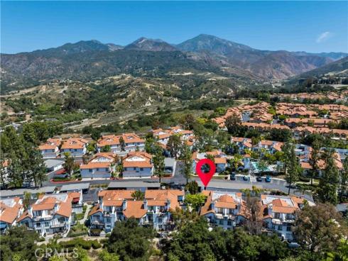 46  Dianthus  , Rancho Santa Margarita, CA