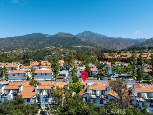 46  Dianthus  , Rancho Santa Margarita, CA