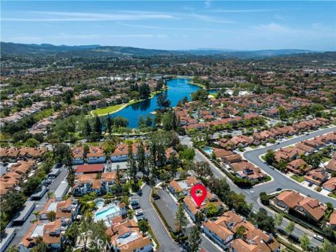 46  Dianthus  , Rancho Santa Margarita, CA