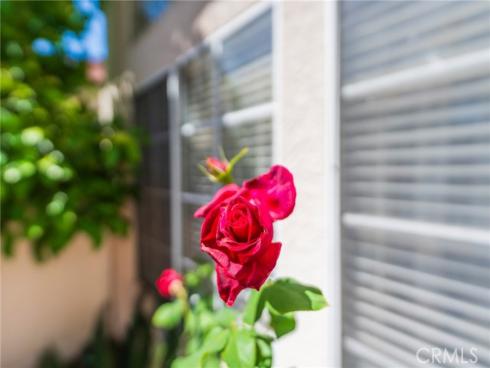 38 Carnation , Rancho Santa Margarita, CA