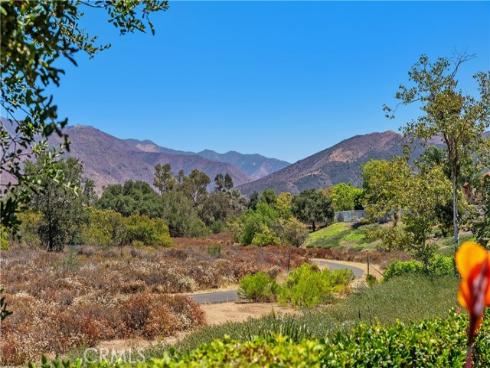 27 Lobelia , Rancho Santa Margarita, CA