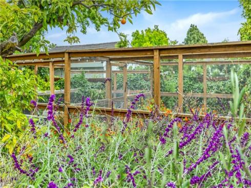 31852  Paseo Alto Plano  , San Juan Capistrano, CA