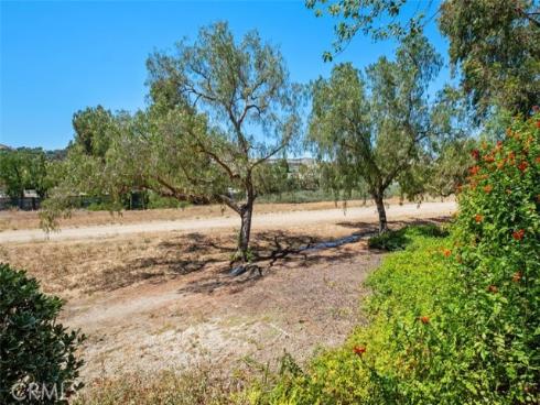 31052  Corte Aurora  , San Juan Capistrano, CA