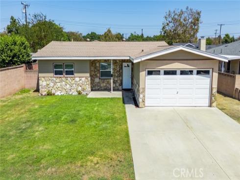 2309 Spinnaker